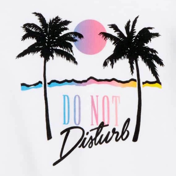 ISO! Wildfox Do Not Disturb Hoodie - Picture 2 of 2